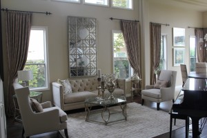 Interior Designer Living Room    